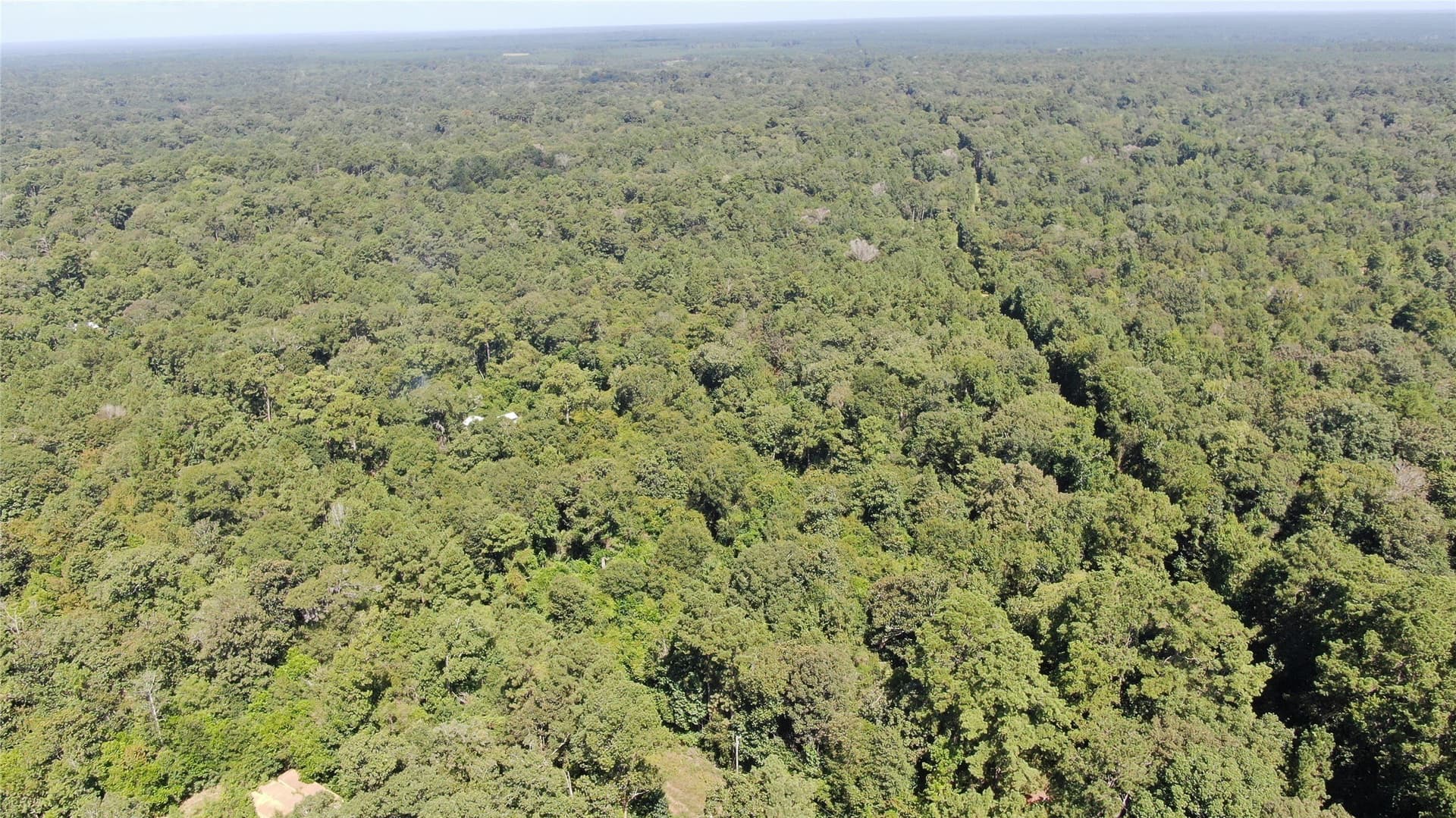 1.15 acres in Liberty County - photo 30