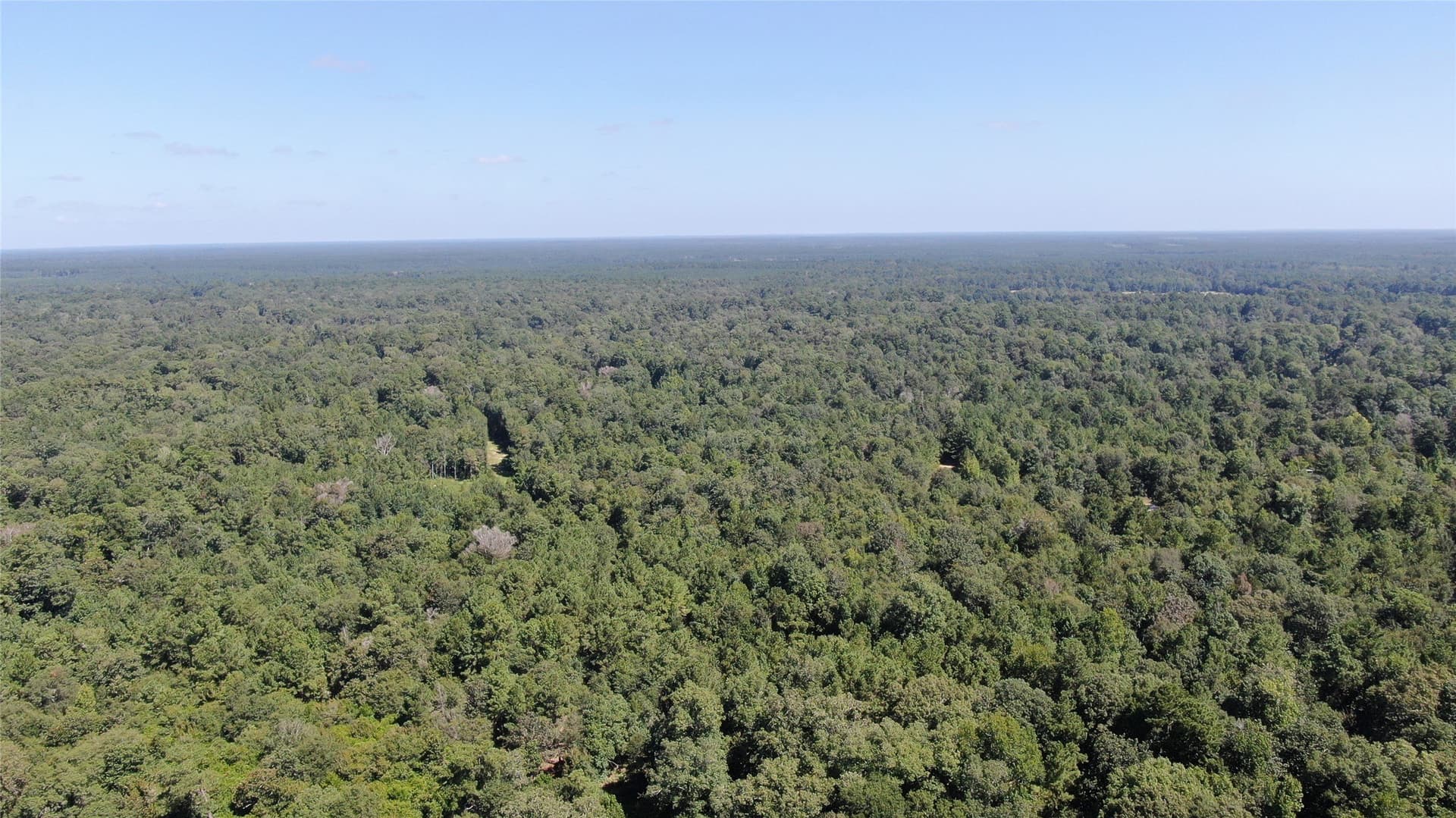 1.15 acres in Liberty County - photo 24