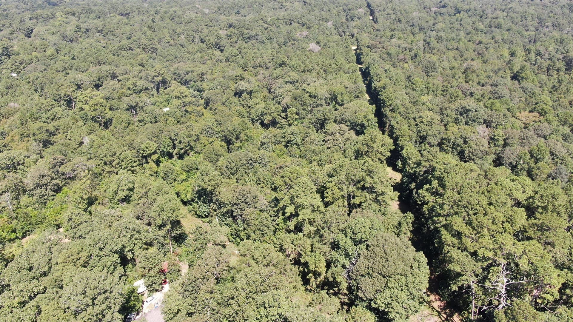 1.15 acres in Liberty County - photo 16