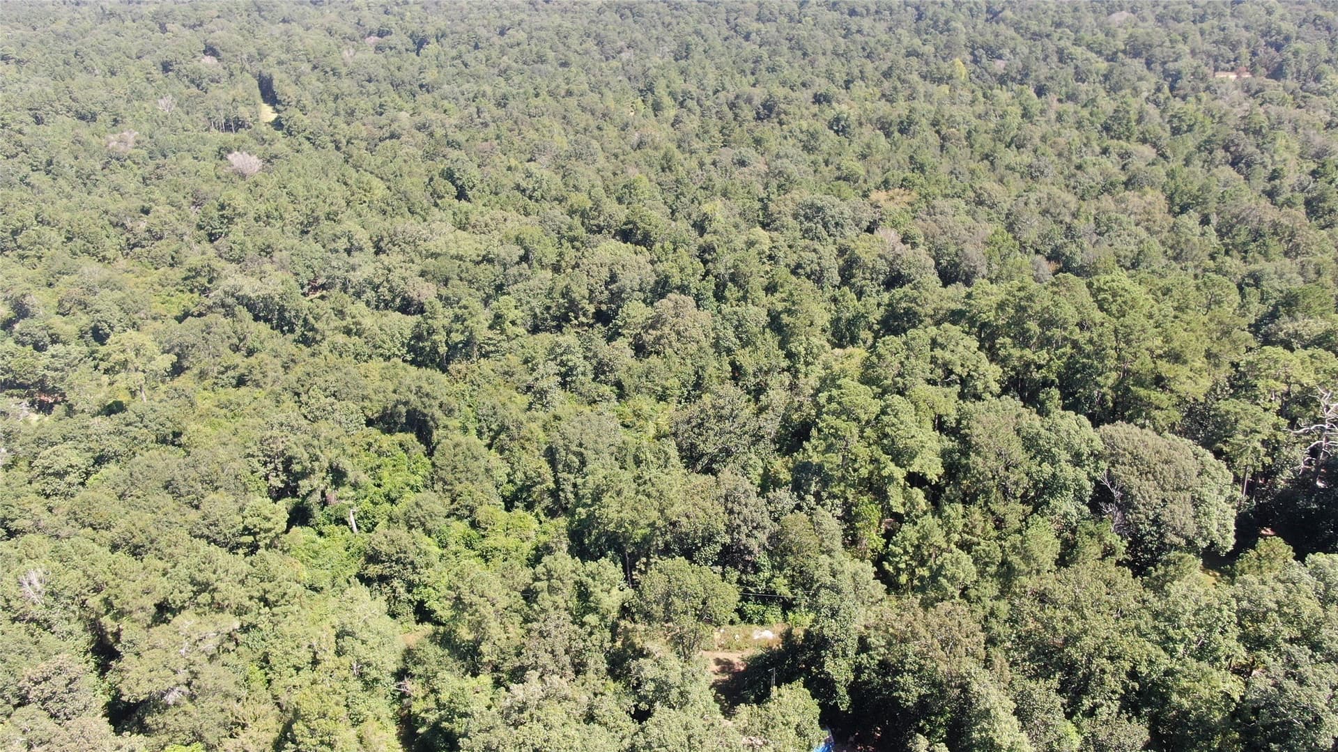 1.15 acres in Liberty County - photo 15