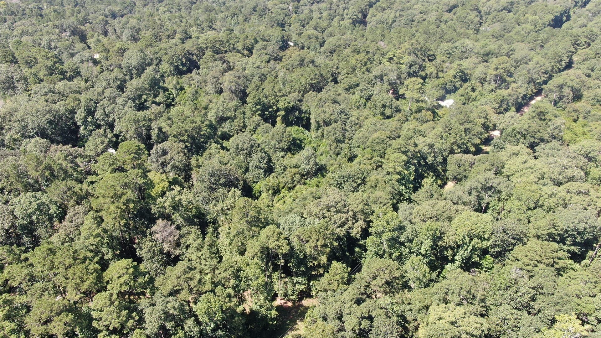 1.15 acres in Liberty County - photo 18
