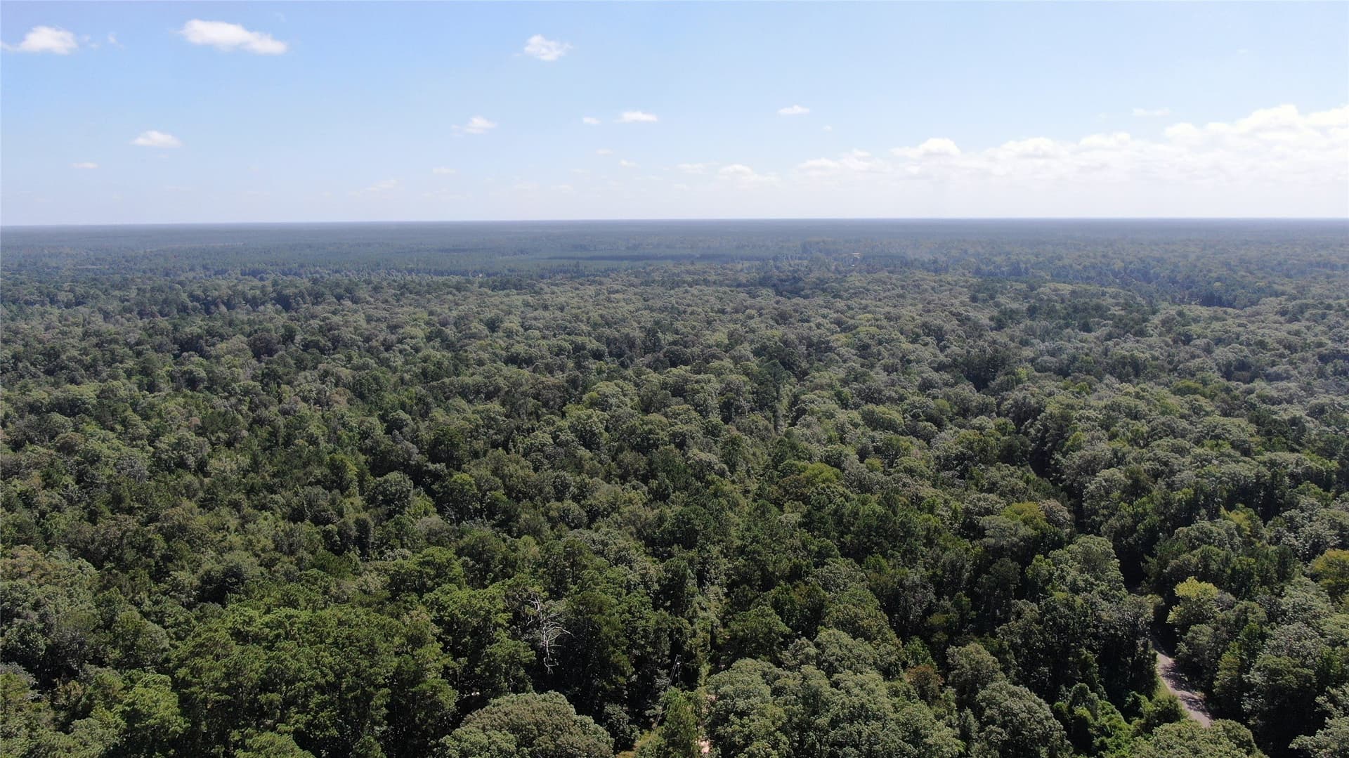 1.15 acres in Liberty County - photo 25