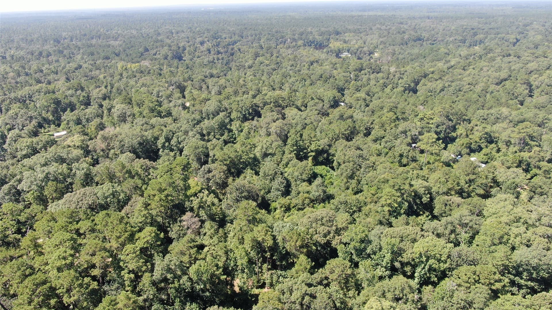 1.15 acres in Liberty County - photo 12