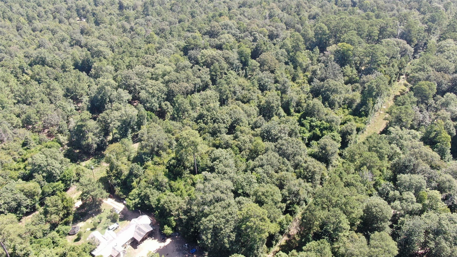 1.15 acres in Liberty County - photo 22