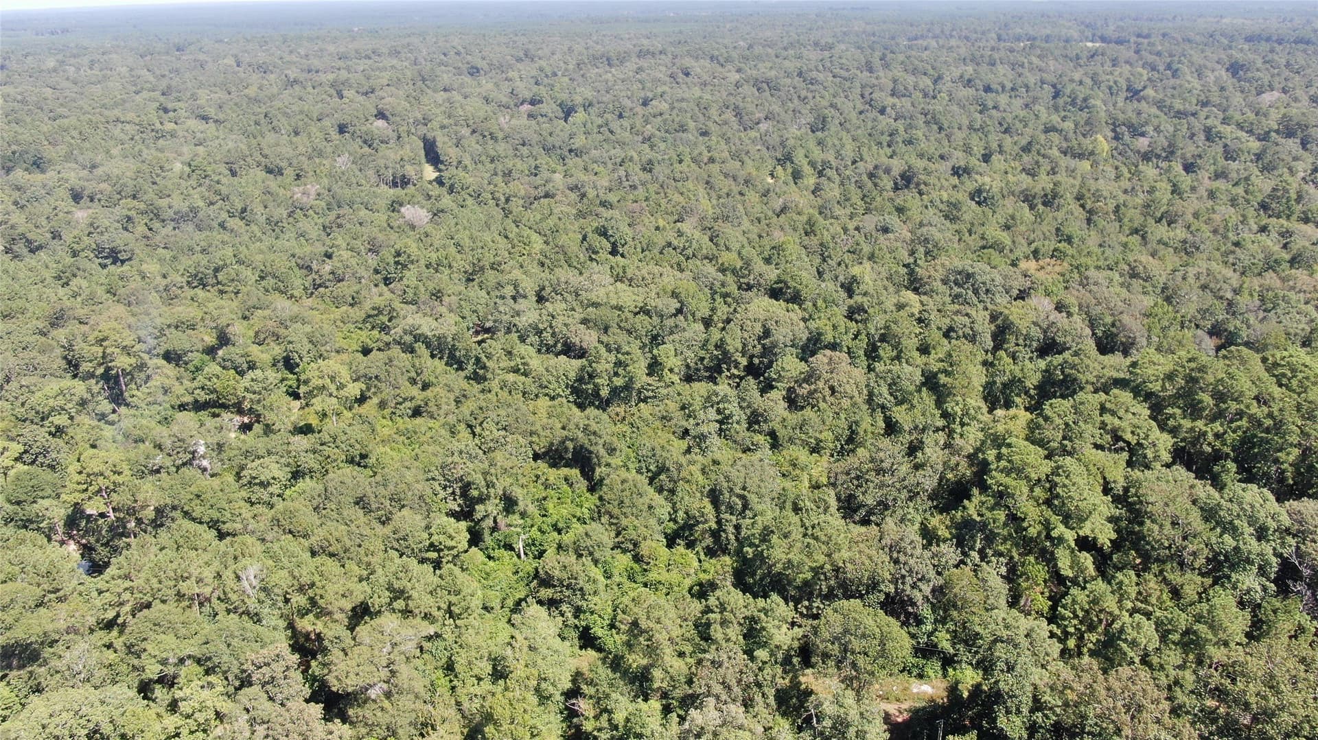 1.15 acres in Liberty County - photo 31