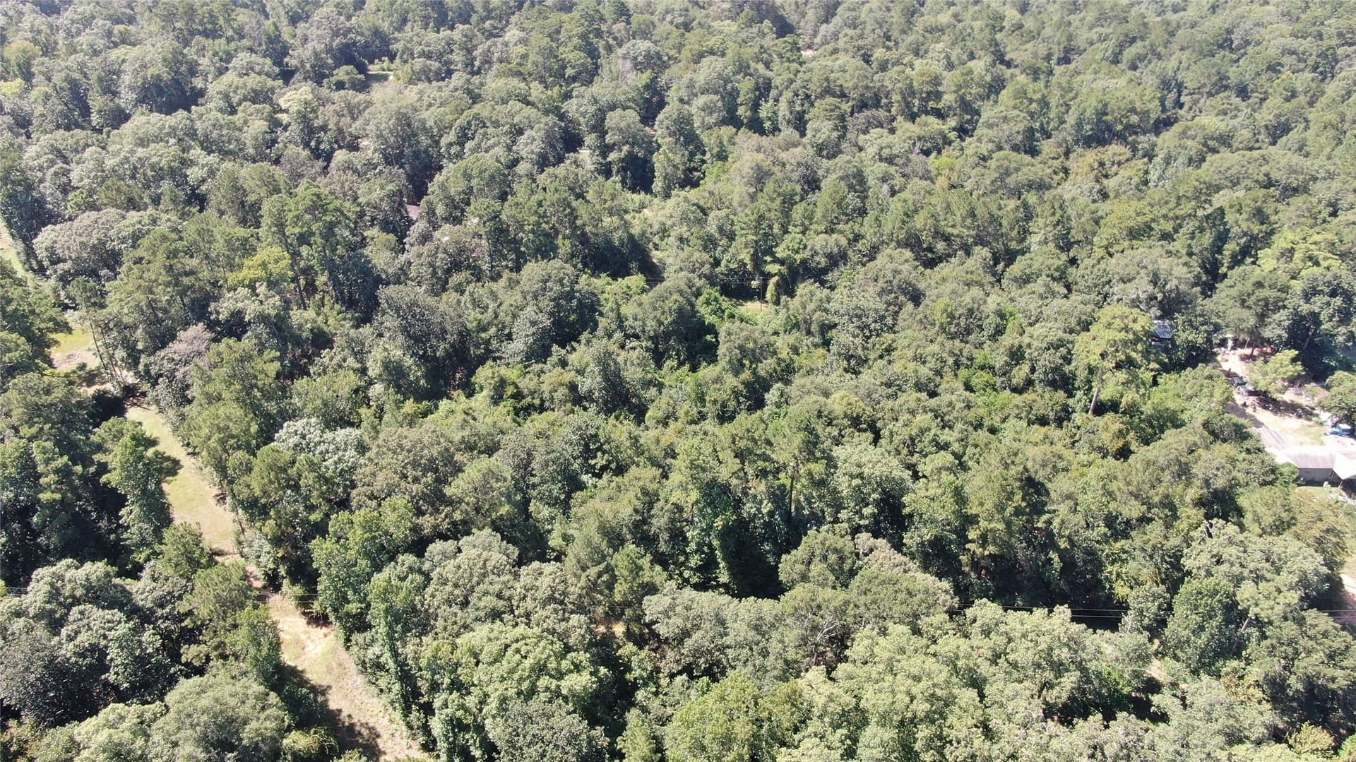 1.15 acres in Liberty County - photo 19