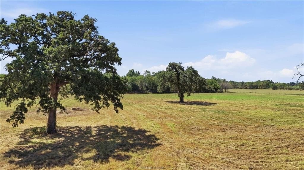 10.51 acres in Robertson County - photo 3