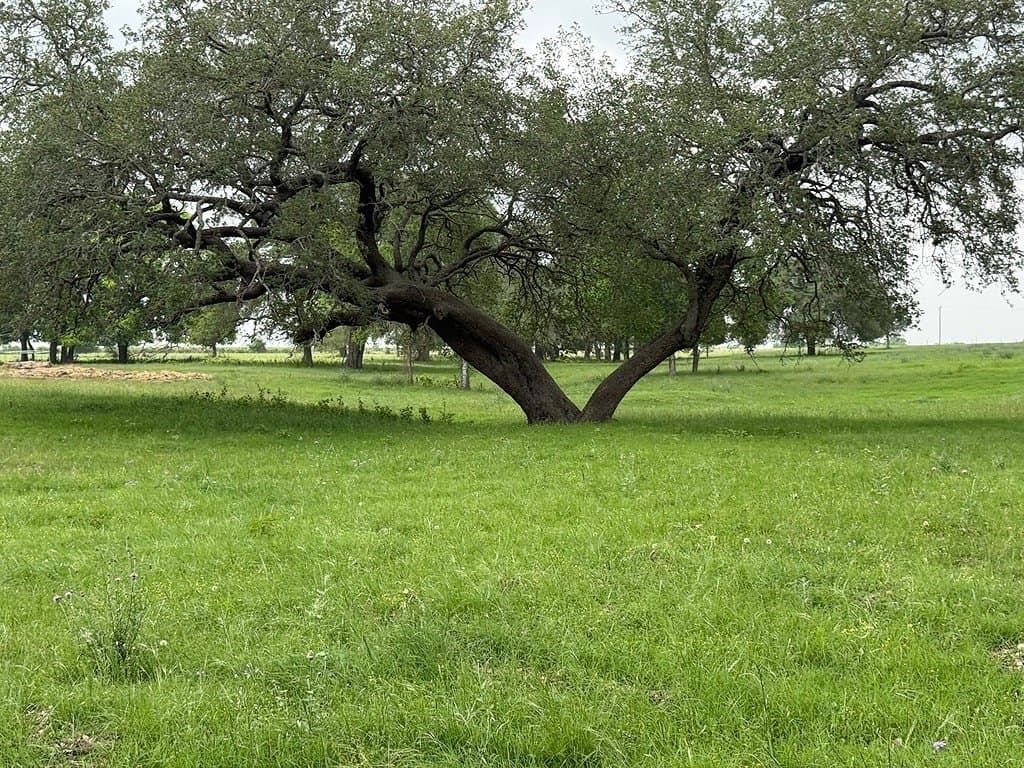 11.5 acres in Fayette County