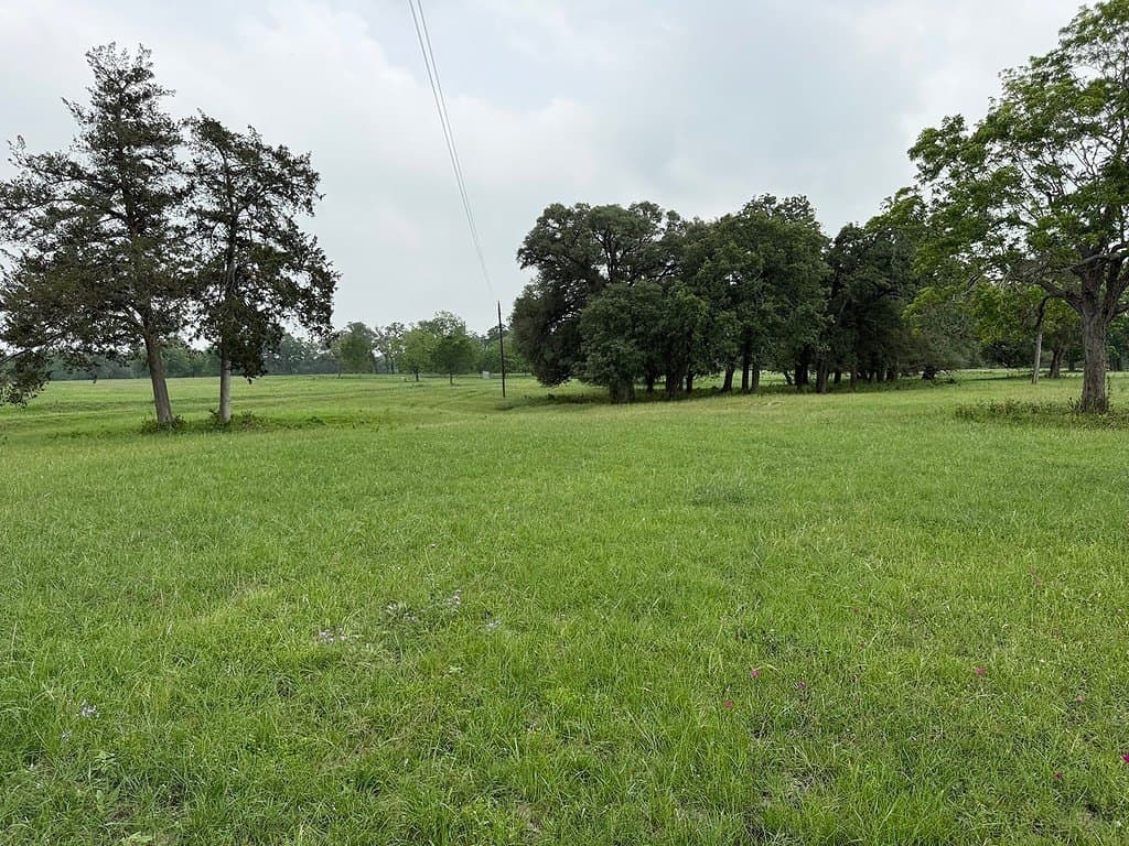 11.5 acres in Fayette County gallery image 3