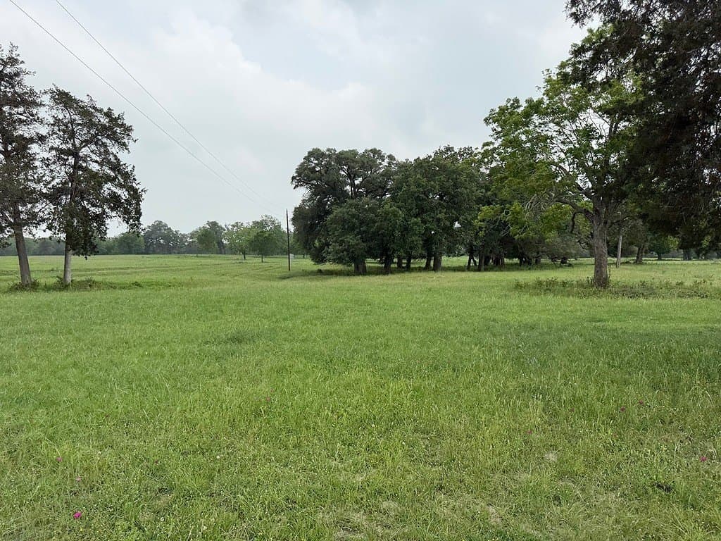 11.5 acres in Fayette County gallery image 4
