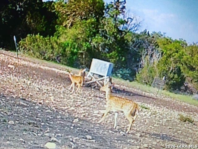 56.78 acres in Edwards County - photo 17