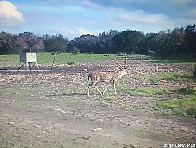 56.78 acres in Edwards County - photo 22