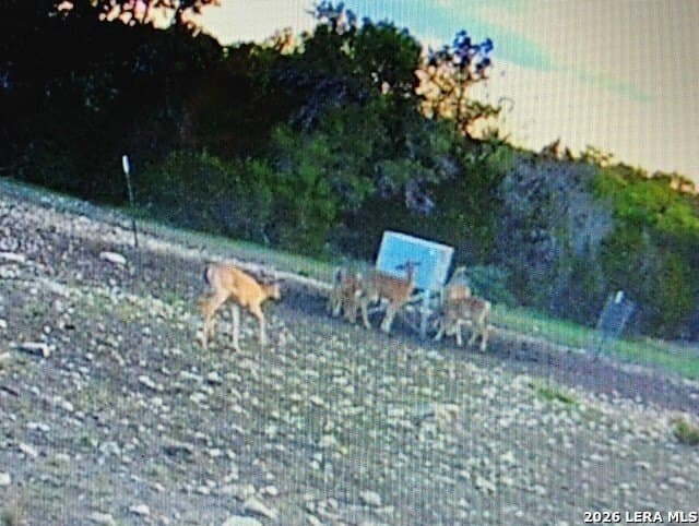 56.78 acres in Edwards County - photo 19