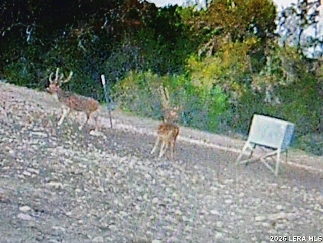 56.78 acres in Edwards County - photo 18