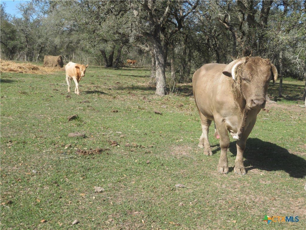 12.4 acres in Jackson County - photo 20