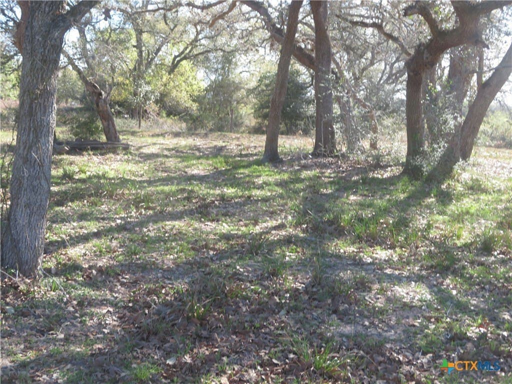 12.4 acres in Jackson County - photo 17