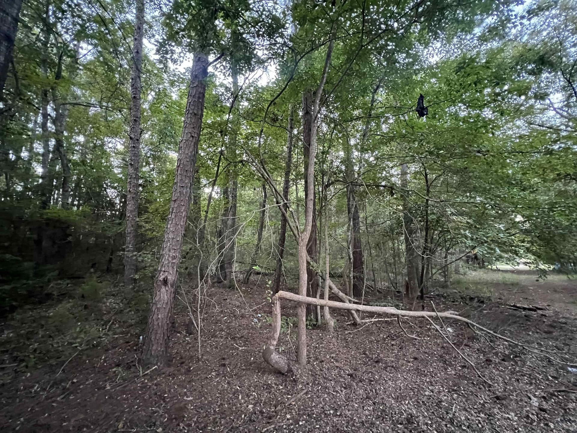 1.6 acres in Upshur County
