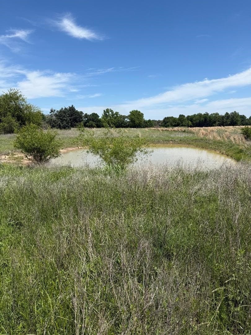 4.52 acres in Kaufman County gallery image 2