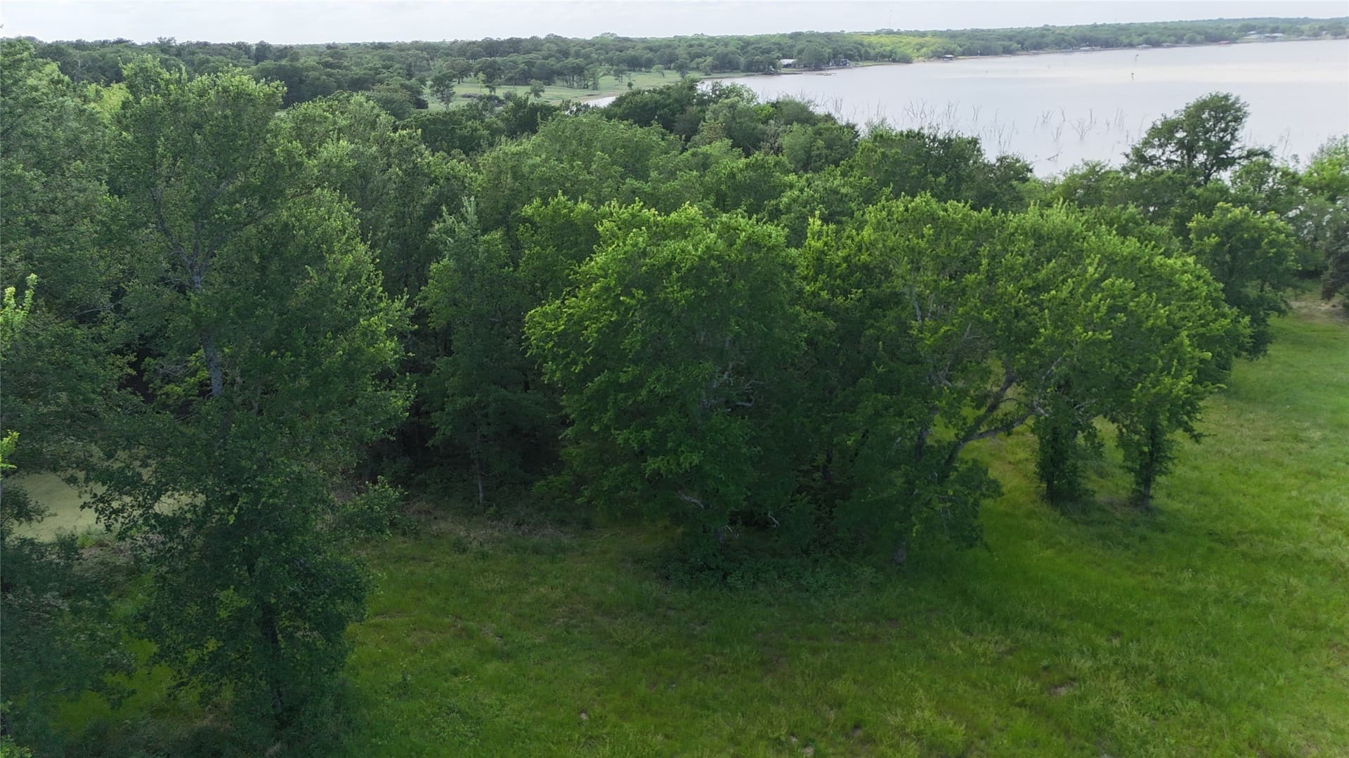 1.01 acres in Navarro County - photo 12