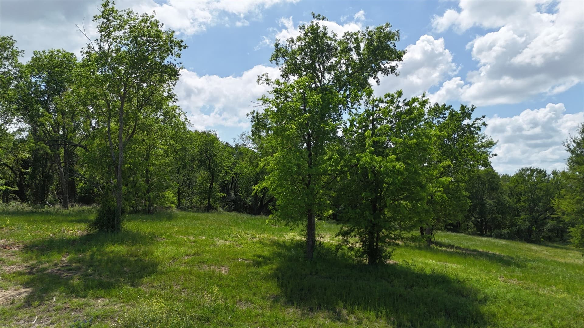 1.01 acres in Navarro County - photo 10