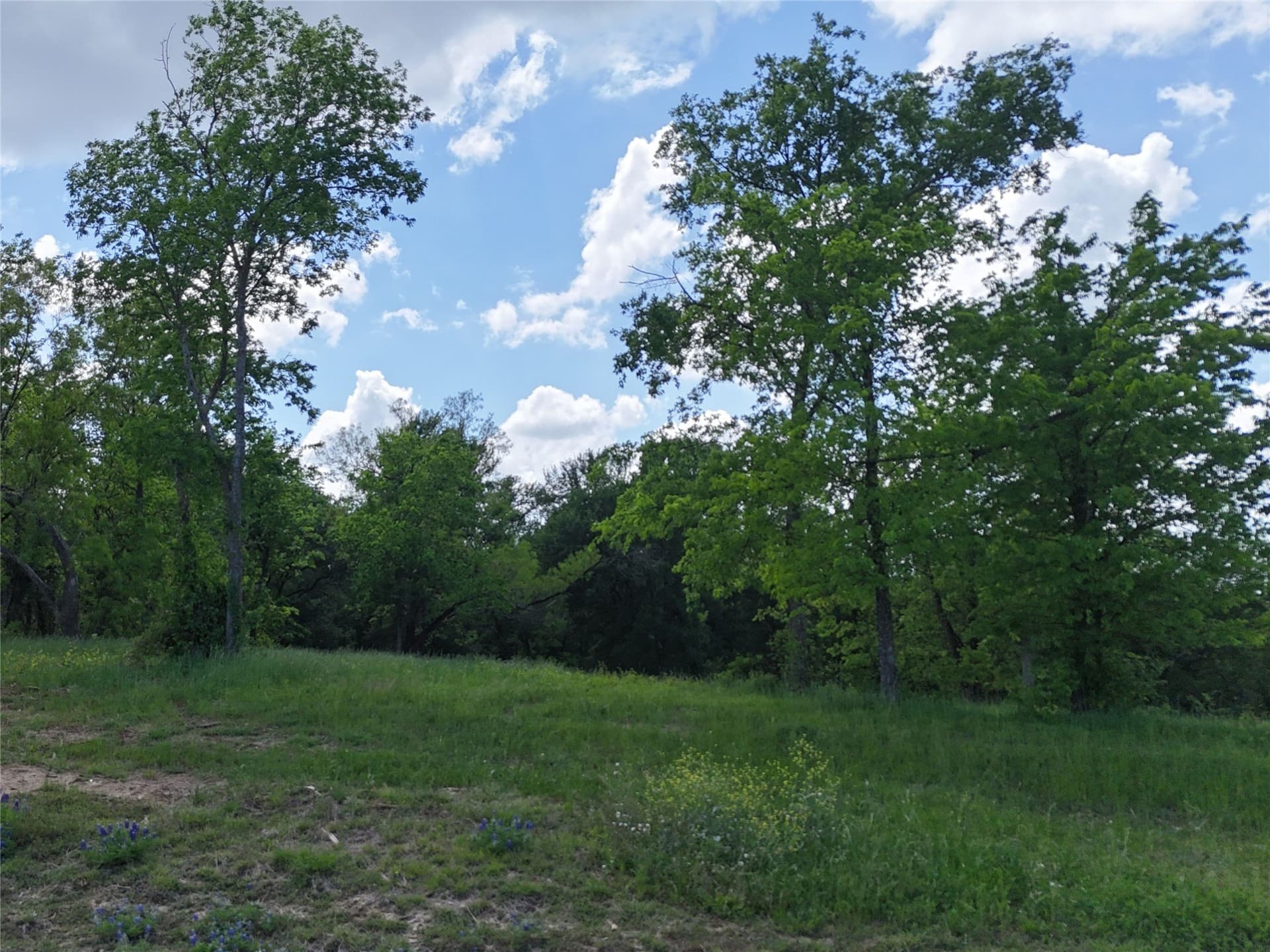 1.01 acres in Navarro County - photo 6