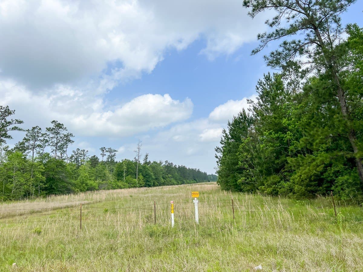 55 acres in Hardin County - photo 5