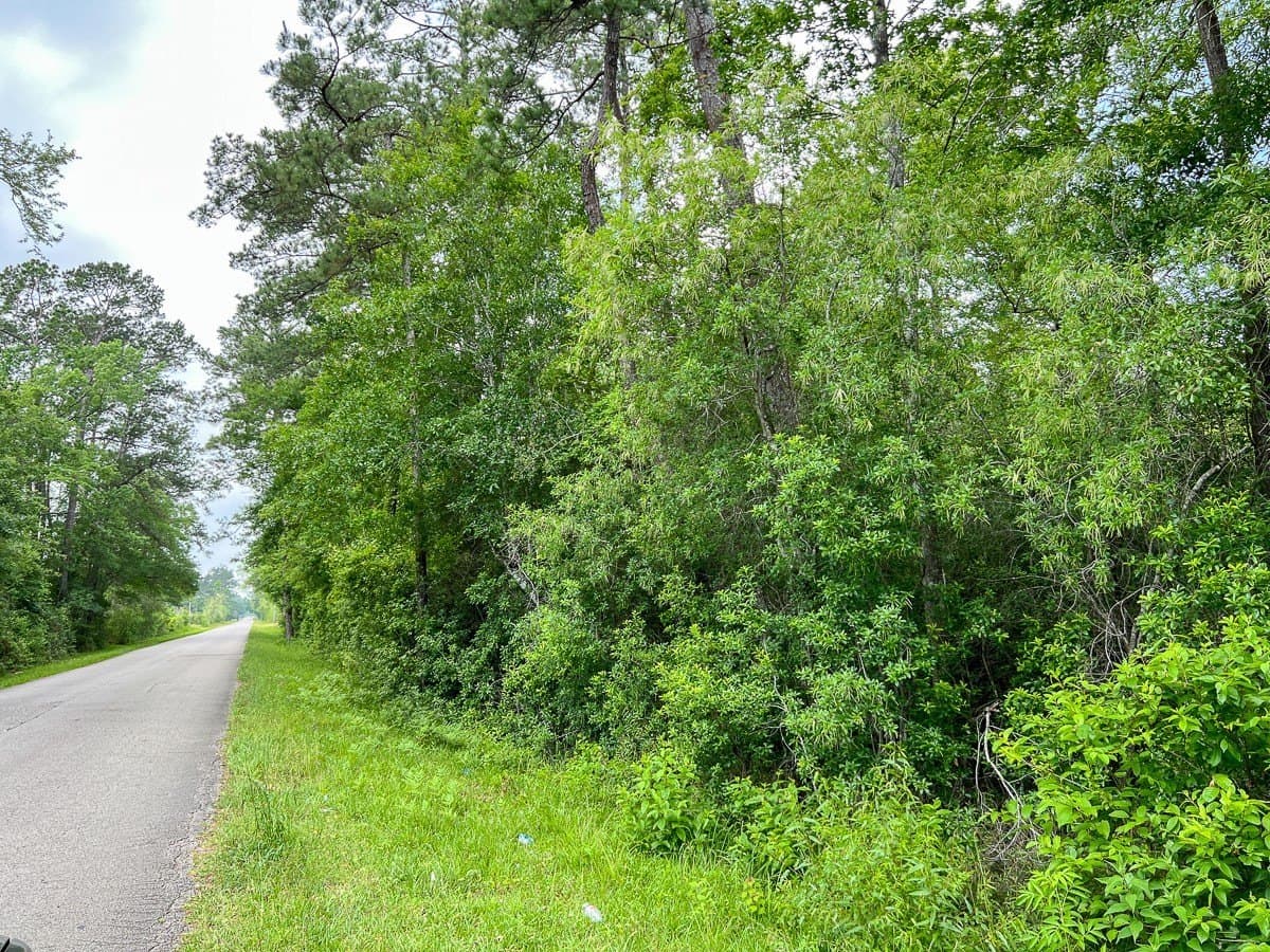 55 acres in Hardin County - photo 3
