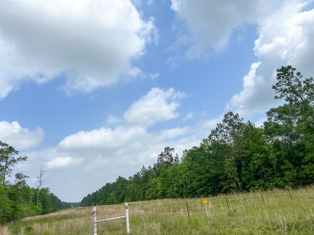 55 acres in Hardin County - photo 4