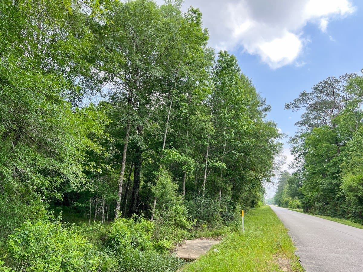 55 acres in Hardin County - photo 9