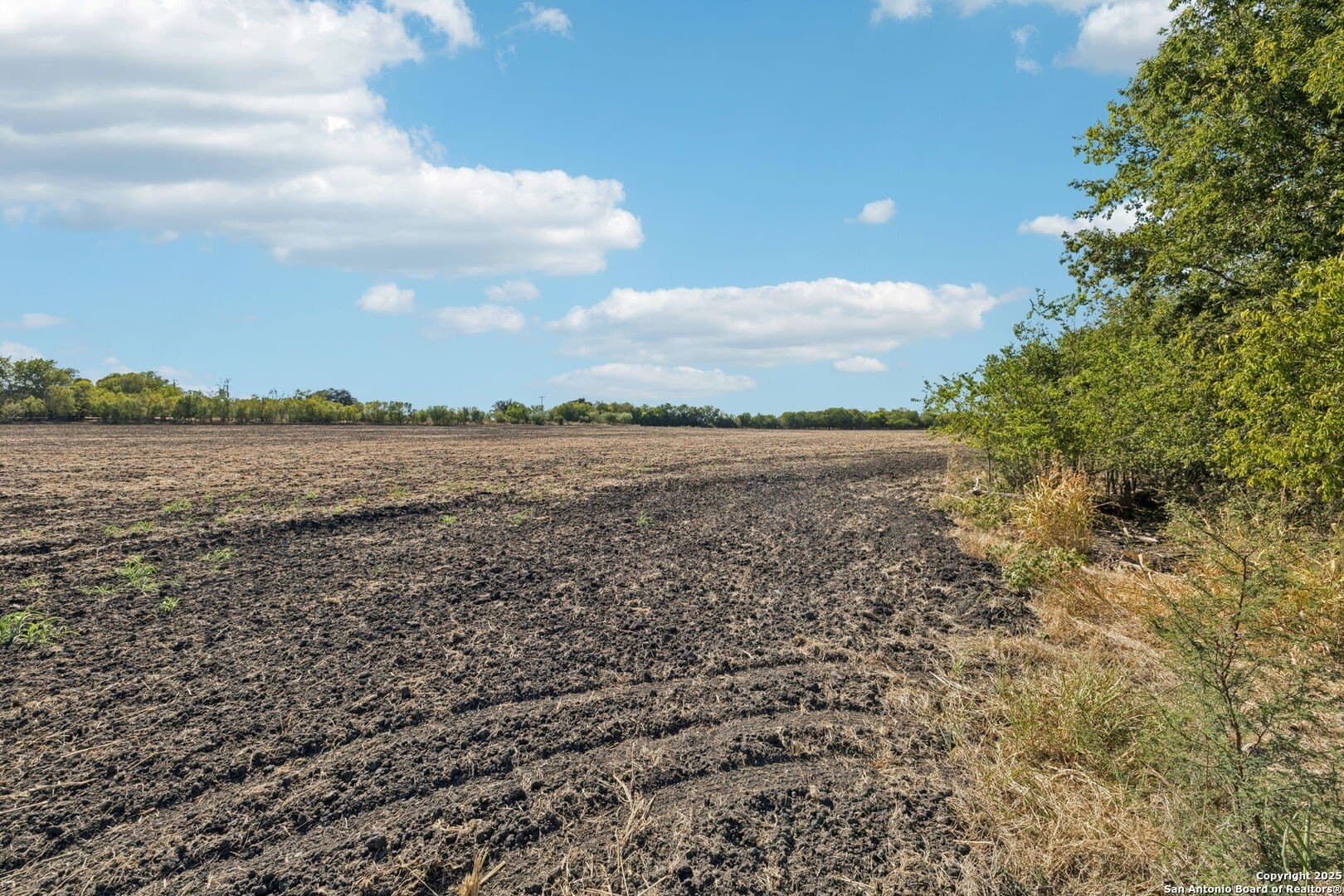 26.53 acres in Bexar County - photo 18