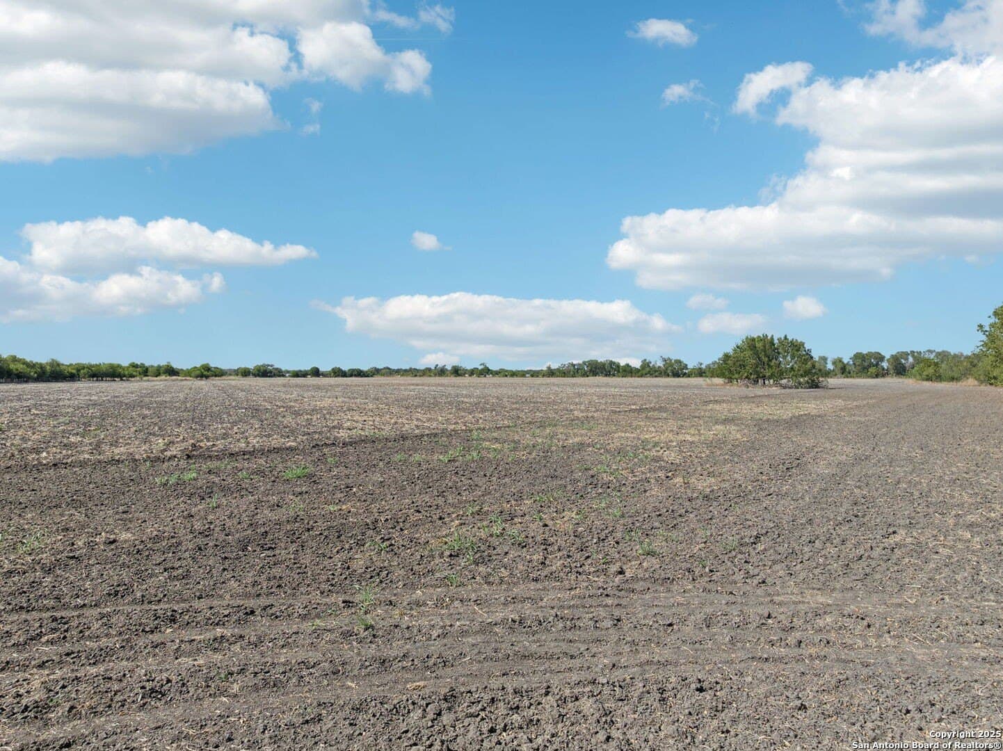 26.53 acres in Bexar County - photo 11