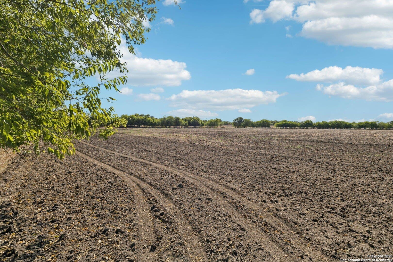 26.53 acres in Bexar County - photo 14