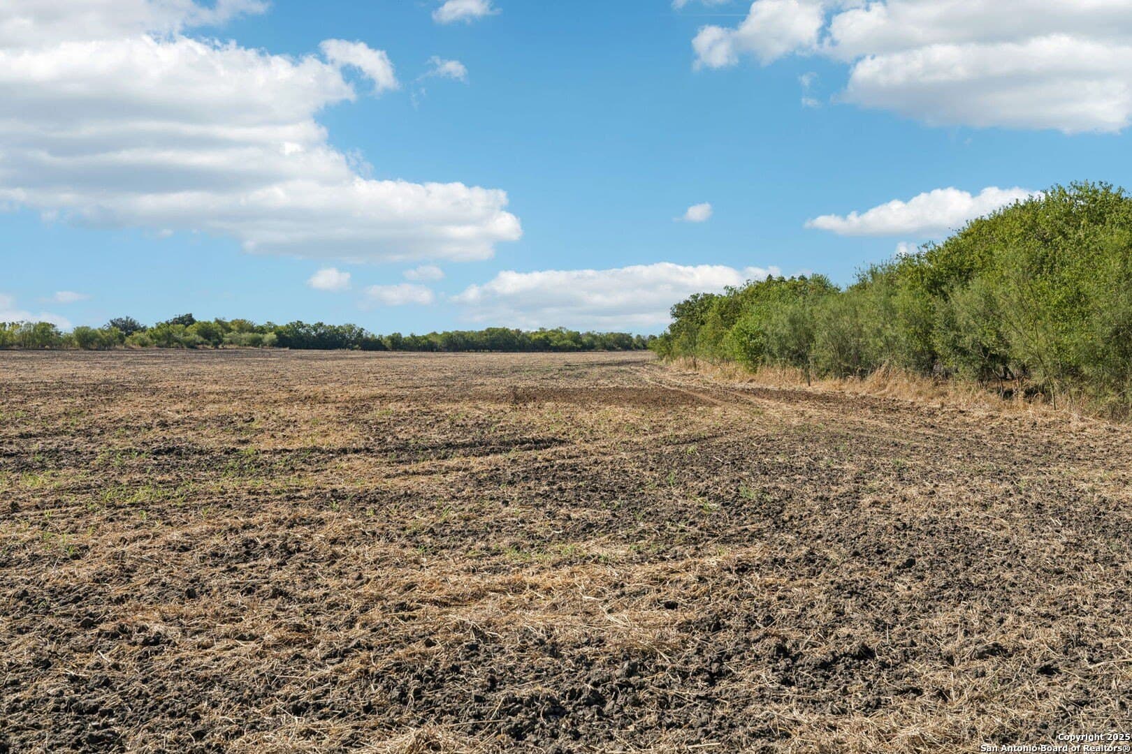 26.53 acres in Bexar County - photo 13