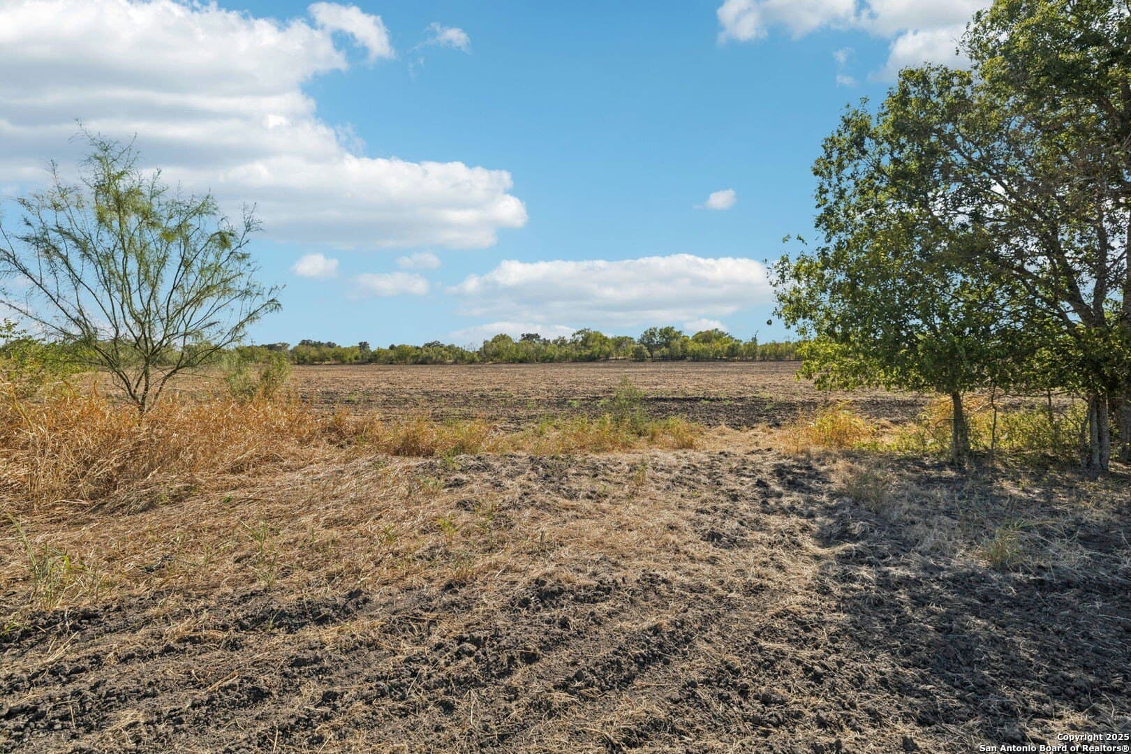 26.53 acres in Bexar County - photo 16