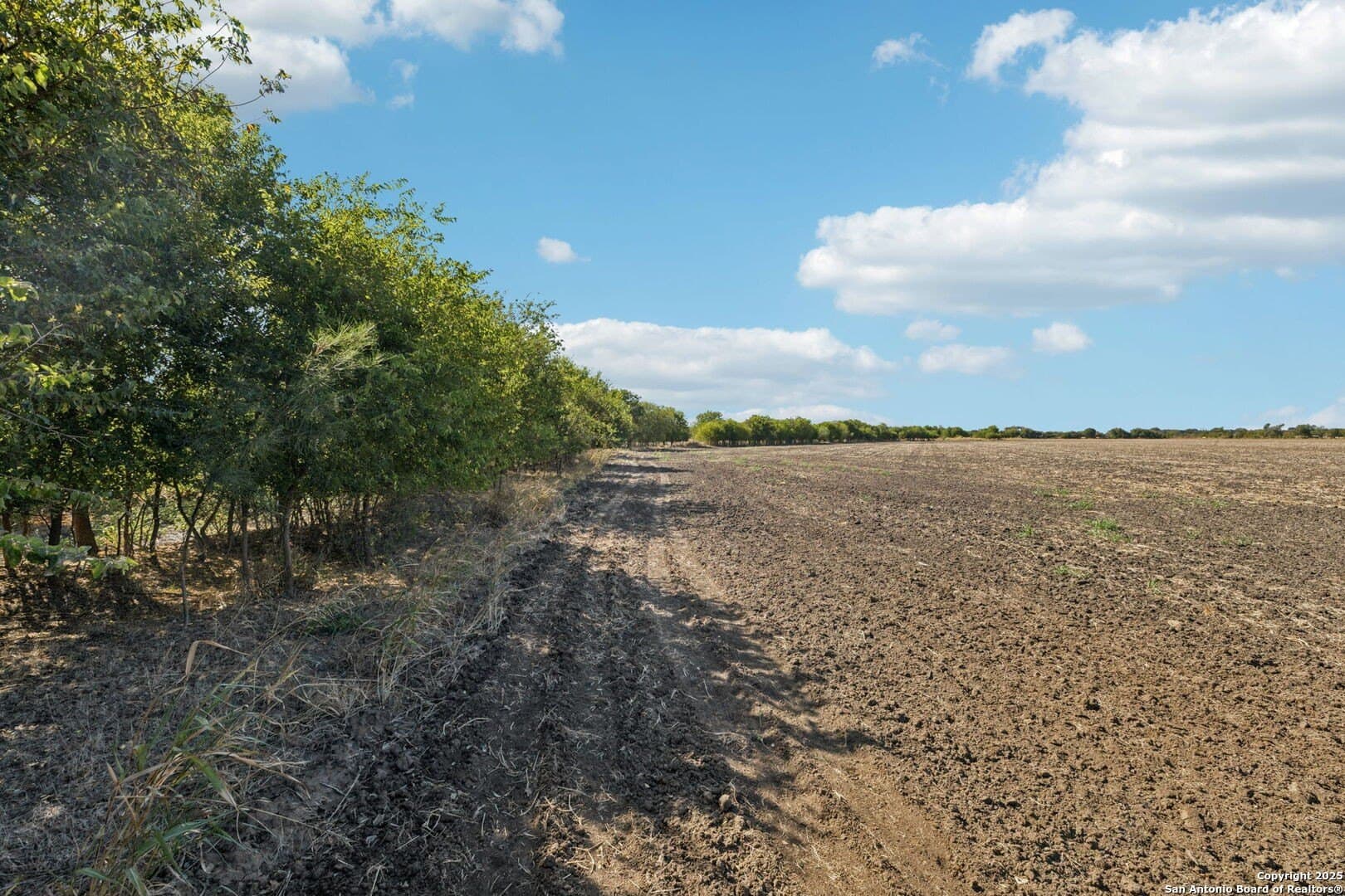26.53 acres in Bexar County - photo 15