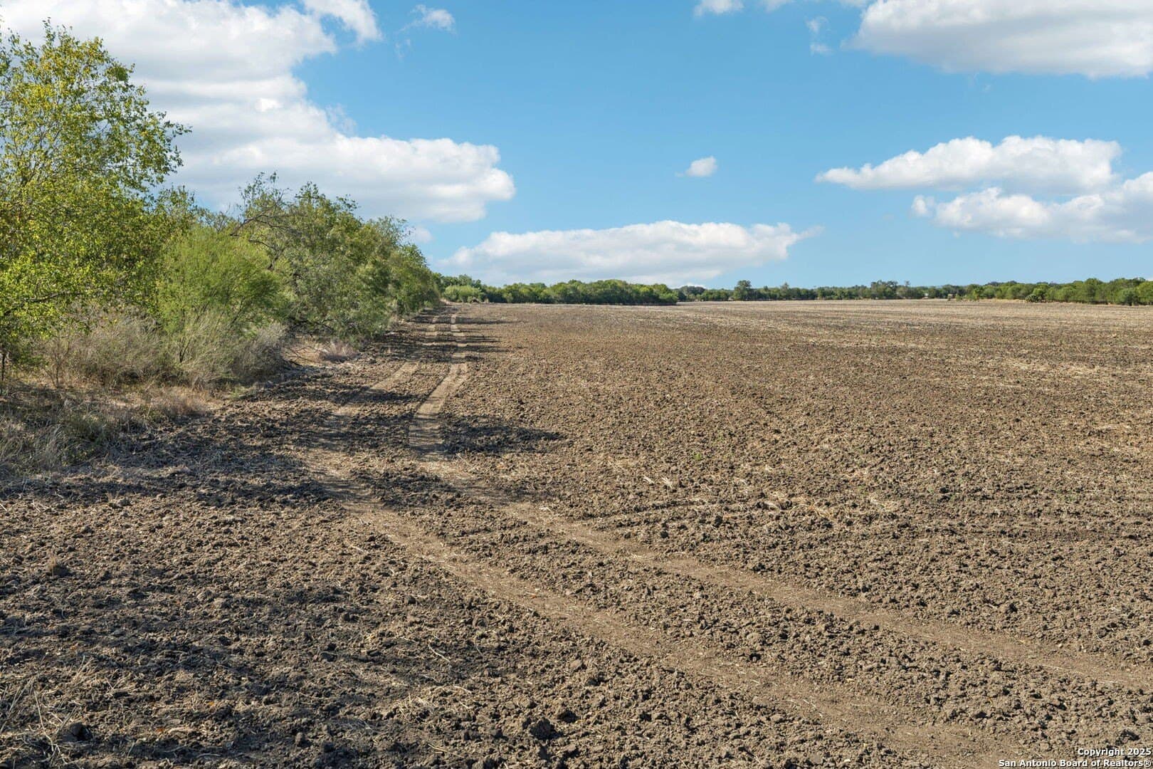 26.53 acres in Bexar County - photo 6