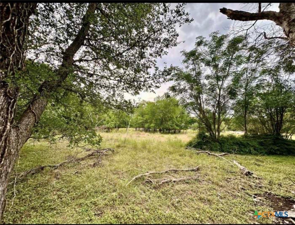 1.75 acres in Travis County gallery image 3