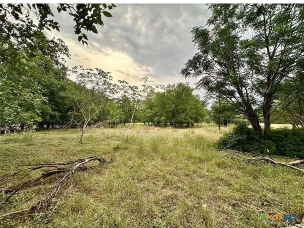 1.75 acres in Travis County gallery image 4