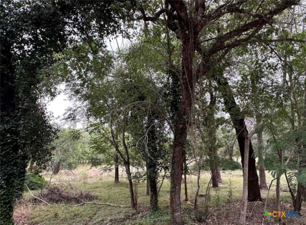 1.75 acres in Travis County gallery image 2