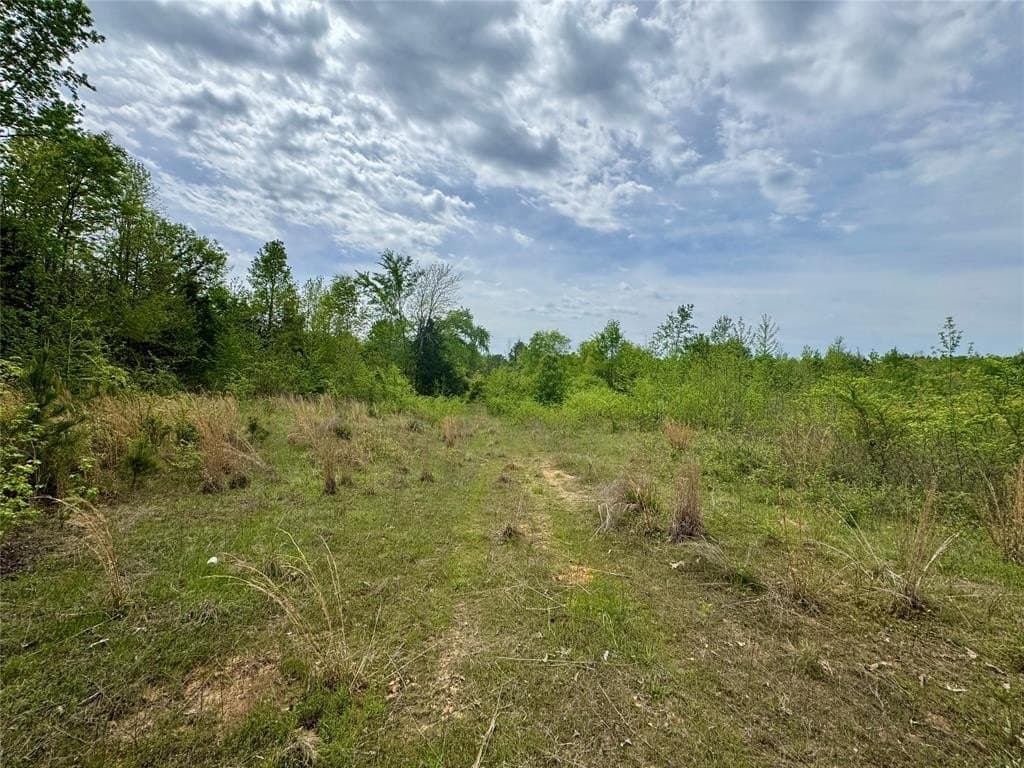 114.19 acres in Cass County gallery image 4
