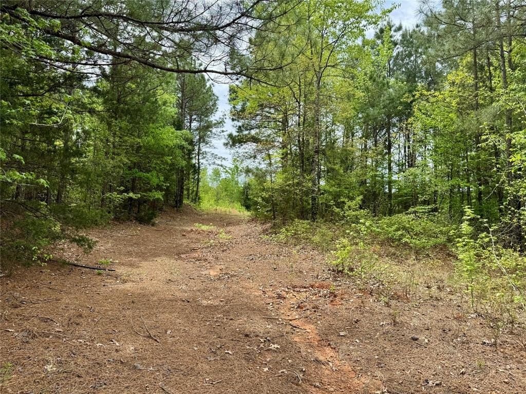 114.19 acres in Cass County gallery image 3