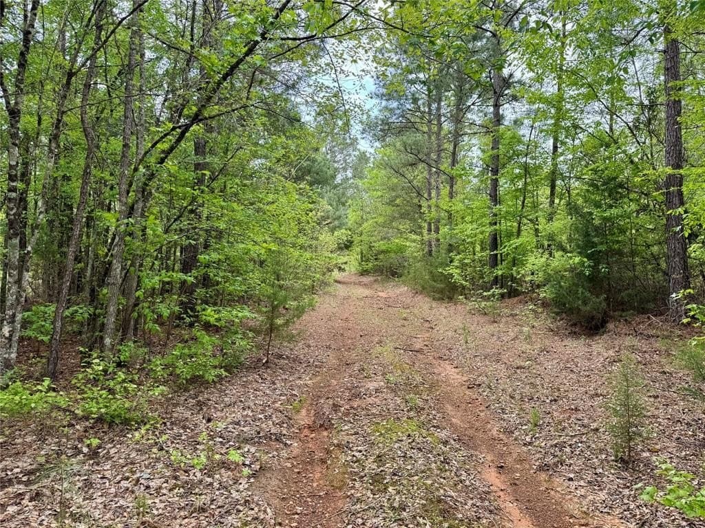 114.19 acres in Cass County gallery image 2