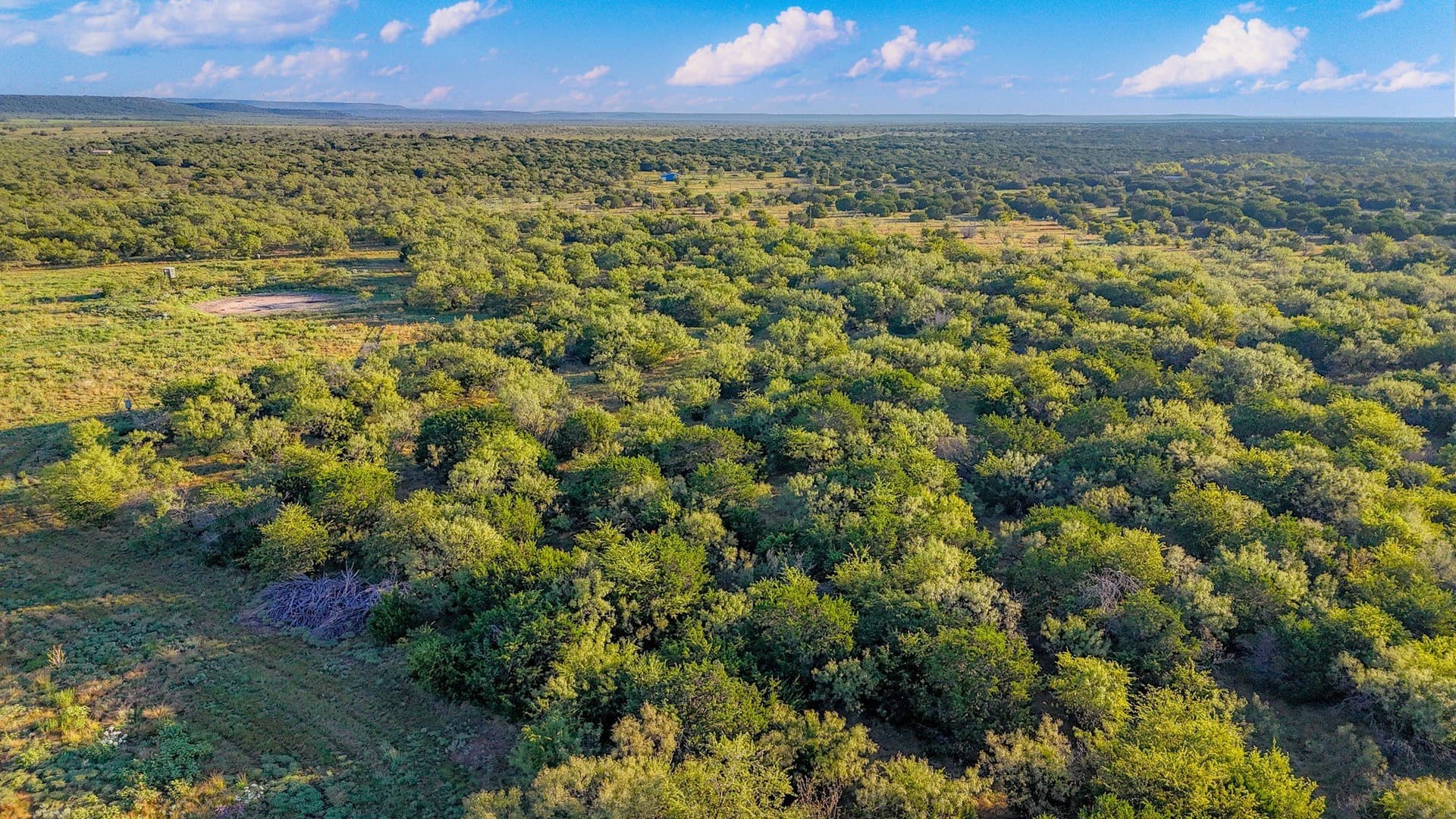 51.17 acres in Palo Pinto County gallery image 4