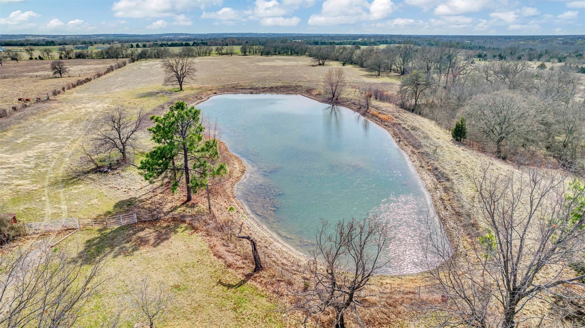 54 acres in Collin County - photo 6