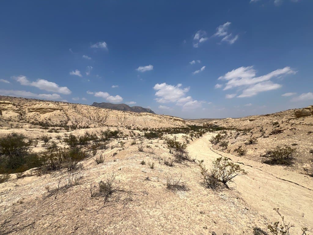 20 acres in Brewster County - photo 6