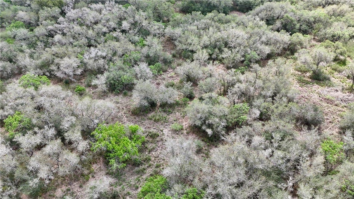 7.42 acres in Refugio County - photo 9
