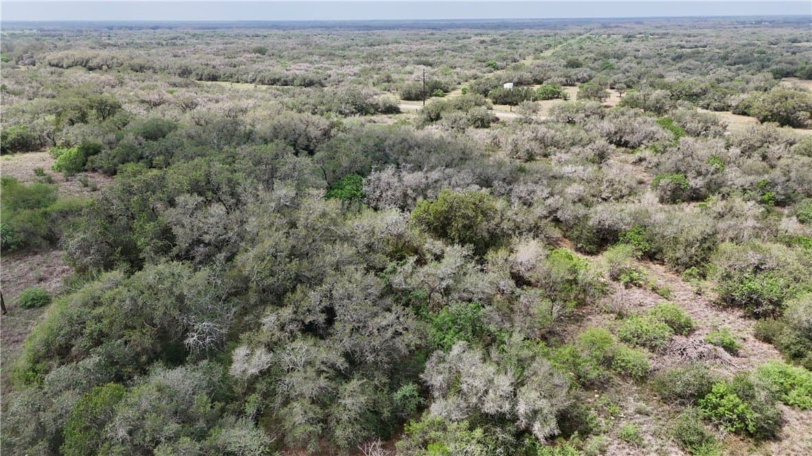 7.42 acres in Refugio County - photo 7