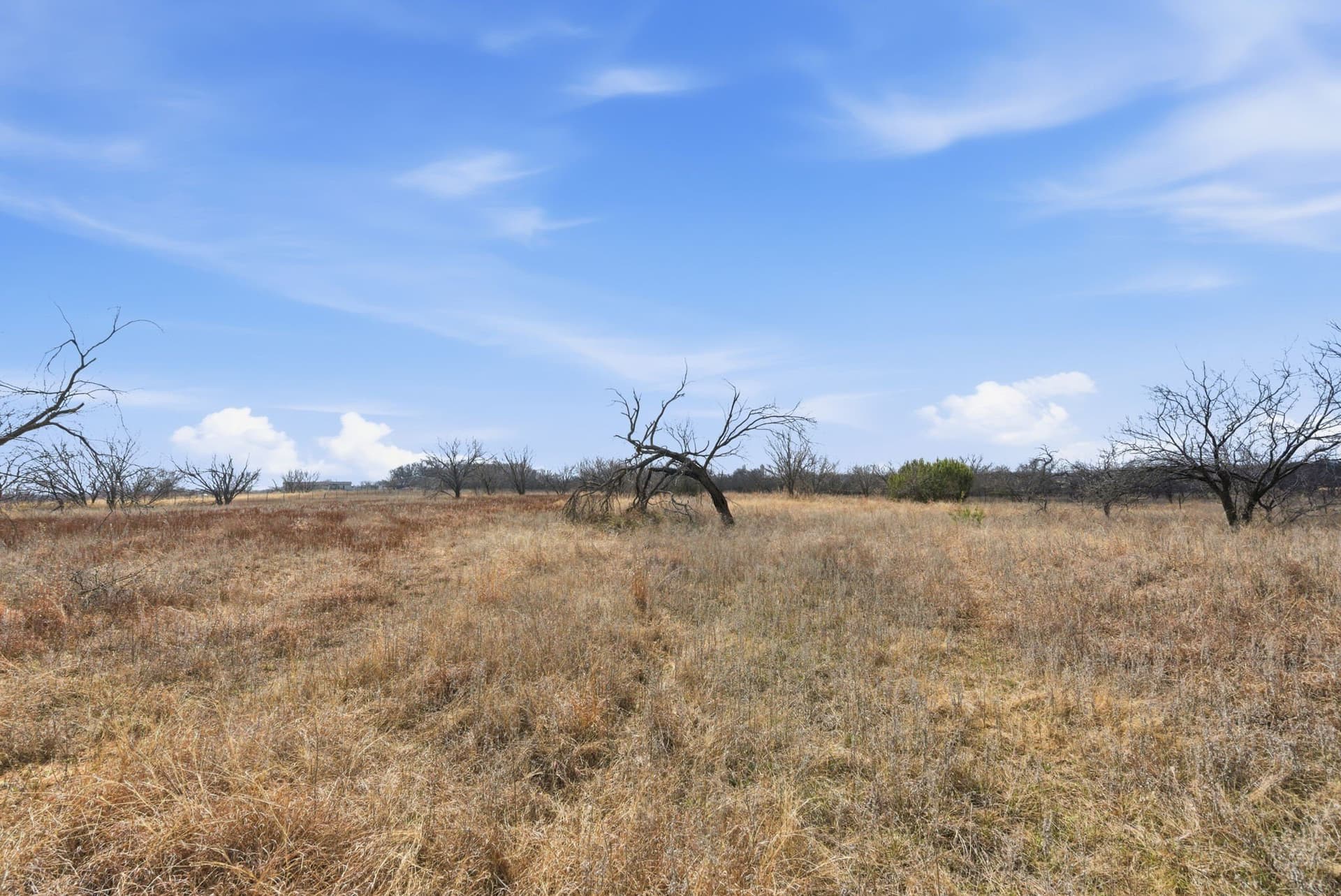 10 acres in Hood County - photo 5