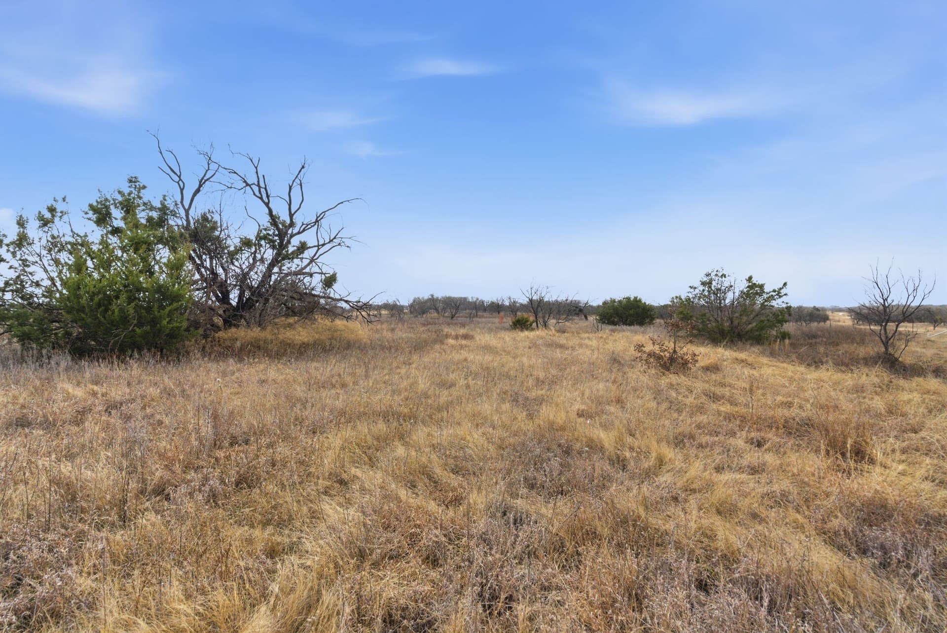 10 acres in Hood County - photo 4