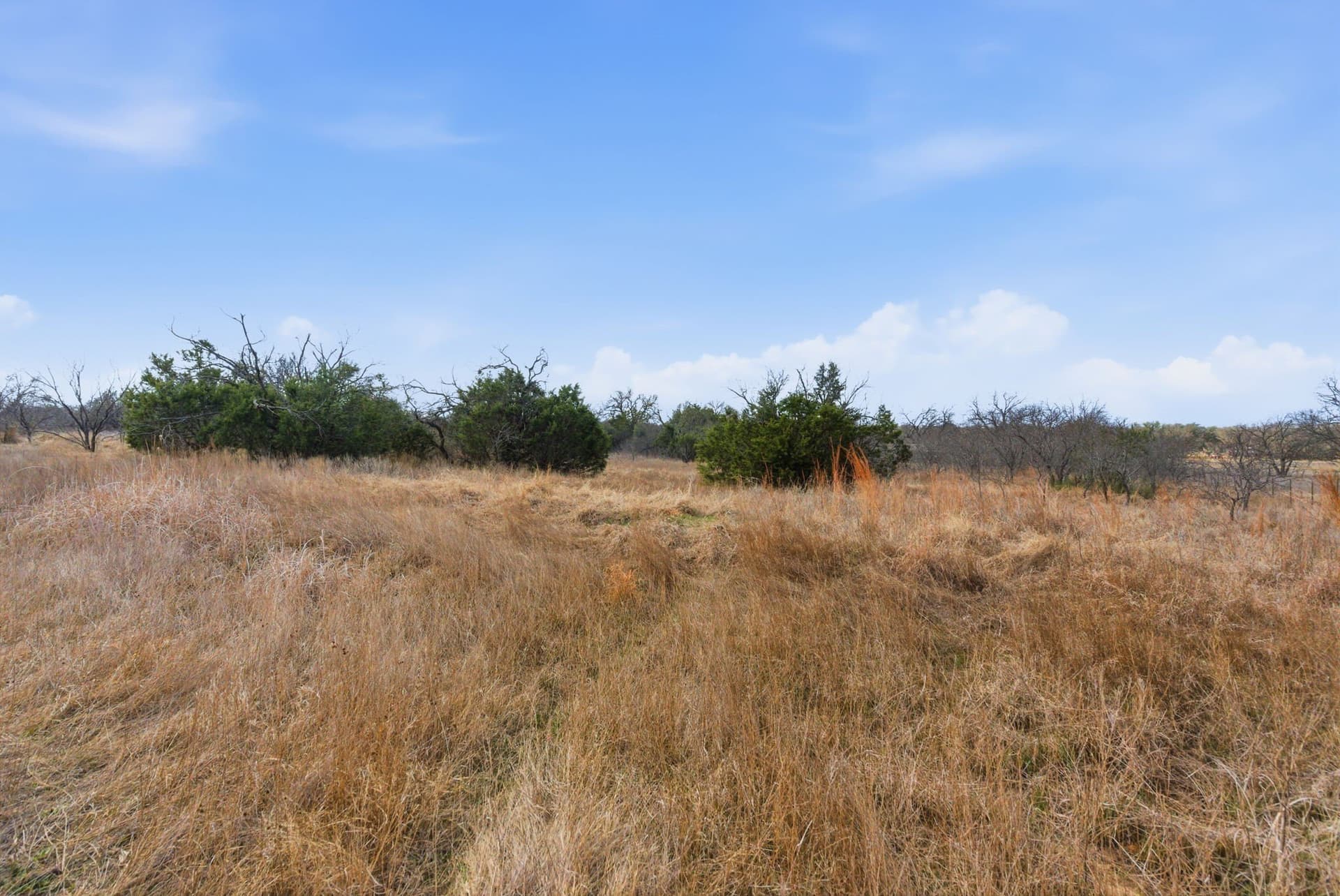 10 acres in Hood County - photo 7